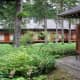 Tamozawa's large courtyard garden in summer.