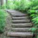 A path through Tamozawa villa's garden.