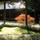 Autumn courtyard garden at Tamozawa.