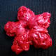 Photo #6: 2D CLUSTER Flower Back View