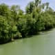 View from bridge. Snakes below!