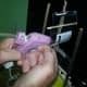 Gluing plastic sails to a sailboat model
