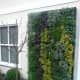 Vertical Herb Garden Design (photos from Design Squish Blog)