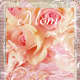 Free to use - Snip, paste and copy