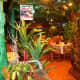 The restaurant entrance.