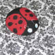 Ladybug, Project No. 1, July 2011.
All photos here by Peggy Hazelwood.