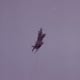 An F-15 performs at Andrews AFB, MD, May 1993.