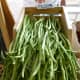 Long beans from Morning Mist Harvest at the Farmer&rsquo;s Market at Imperial Sugar Land
