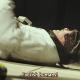 kamen-rider-zero-one-retrospective-2-episodes-17-29