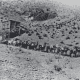 Mule train hauling silver ore