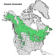 Quaking Aspen Tree Range Map