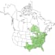 Yellow Tulip Poplar Tree Range Map (USDA Plant Database)