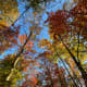 red-river-gorge-kentucky-october