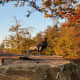 red-river-gorge-kentucky-october