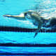 Swimmer Natalie du Toit
