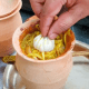 Putting Garlic Head