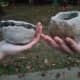 They decorated their clay pots.