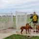 Dog washing stations at the Millie Bush Bark Park