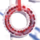 Berries on Ice Wreath goodhousekeeping.com