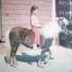 princess_our_pony