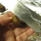 Cutting chestnut with knife. Cut through both the hard outer skin and the inner skin.