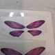 making-resin-butterfly-wings