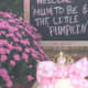 15-diy-baby-shower-ideas-for-girls