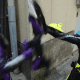 kamen-rider-zero-one-episode-11-review-dont-stop-the-camera-stop-that-guy