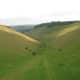 Inside the Downs, at Devil's Dyke, almost cutting through from the Weald to the coast