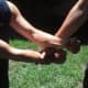 The defender uses his left forearm to strike the nerve on his attacker's wrist