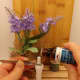 Adding essential oil drops to the inhaler wick.