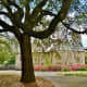 View of the church from Antioch Park