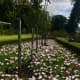 The beautiful rose gardens.