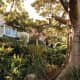 Looking up towards Wendy Whiteley's house in her magical garden.