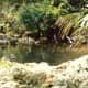 florida-vacation-walt-disney-world-discovery-island