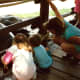 Children viewing the tortoises
