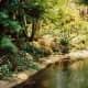 florida-vacation-walt-disney-world-discovery-island