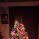 This is what my tree looked like all set up.