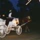 Horse drawn carriage rides offered at the hotel