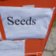 Seeds are planted through positive words and actions