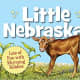 Little Nebraska (Little State) Board book by Rajean Luebs Shepherd