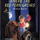 Where the Red Fern Grows by Wilson Rawls - Images are from amazon.com