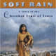 Soft Rain: A Story of the Cherokee Trail of Tears by Cornelia Cornelissen