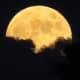 Rising Moon