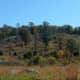 The "Devils Den" Little Round Top an area where some of the bloodiest fighting took place on the 2nd day of battle at Gettysburg. It became a snipers paradise.