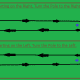 Single Stake Race