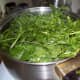 Watercress reduced after 10 minutes boiling