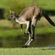 adventure-tours-australia