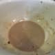Mix a teaspoon of cornstarch with about a tablespoon of the hot peppercorn sauce; then add it back to the rest of the sauce to thicken it.