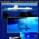 The Atlantis tour was exciting and the underwater reality was new to us.